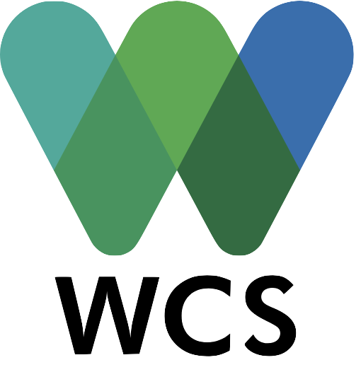 captura de ecrã 2026 01 28, às 13.33.23